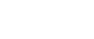 Internet Security Auditors